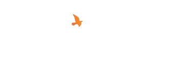 Preambula Group