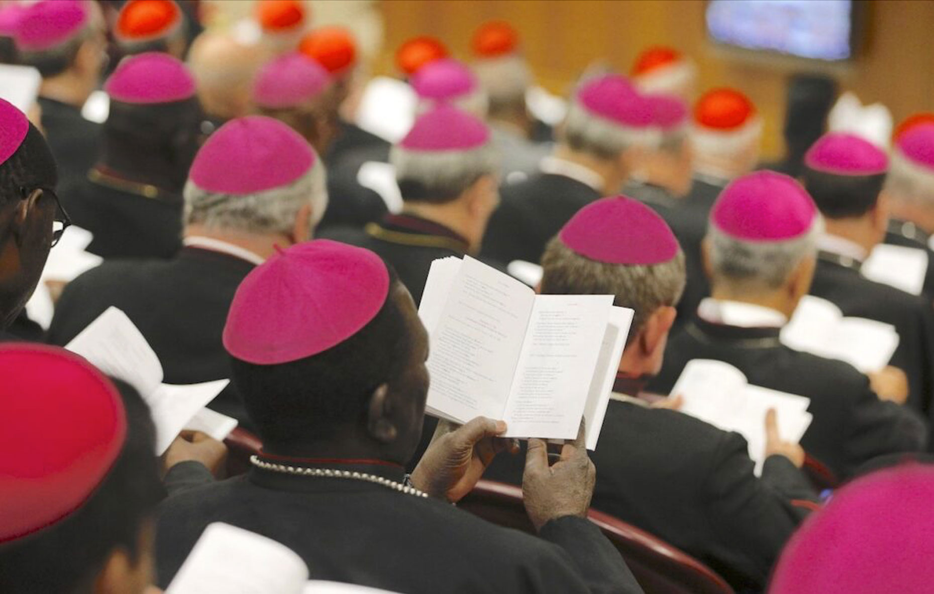 What is a Synod on Synodality?